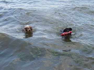Eleany und Kayana beim Schwimmen