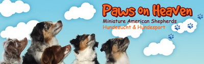 Banner Paws on Heaven