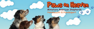 Banner "Paws on Heaven"